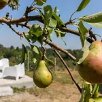 Casa All'angolo * Rocchetta Tanaro
