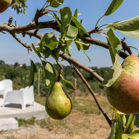 Casa All'angolo * Rocchetta Tanaro