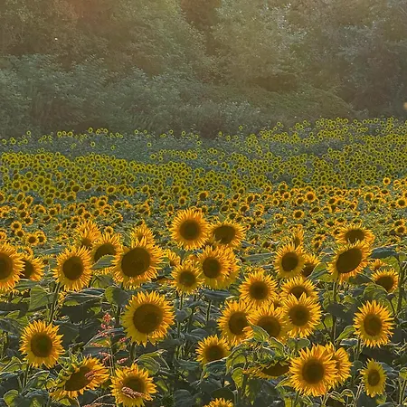 Holiday home Casa All'angolo