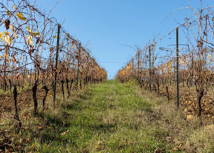 Casa All'angolo Rocchetta Tanaro