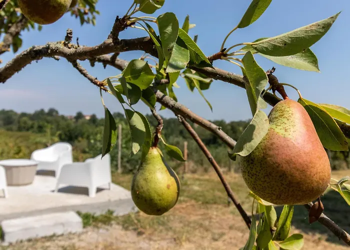 Casa All'angolo * Rocchetta Tanaro