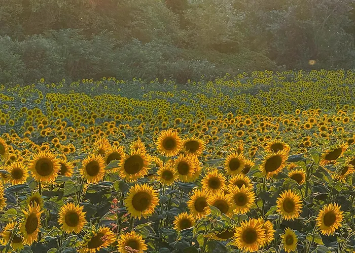 Holiday home Casa All'angolo